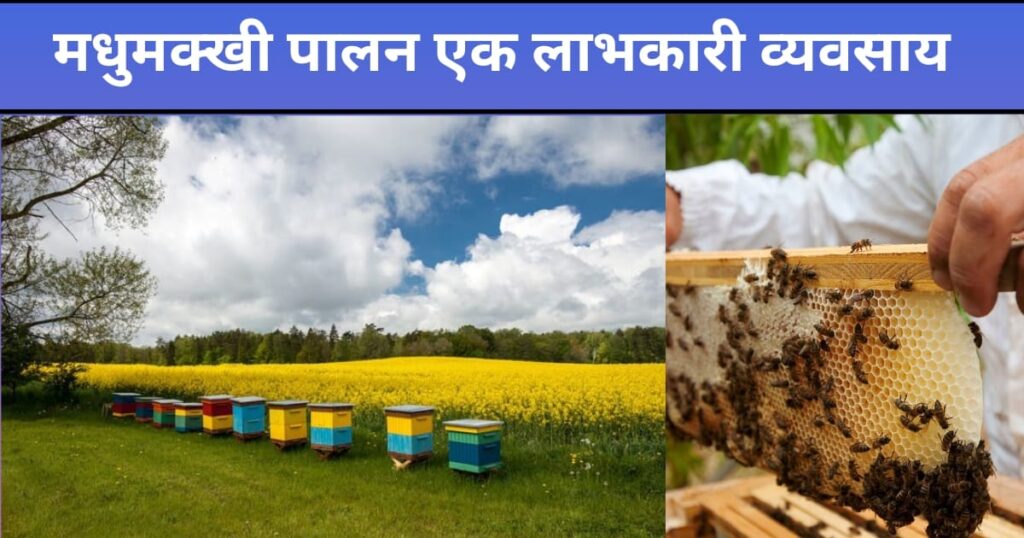 मधुमक्खी पालन