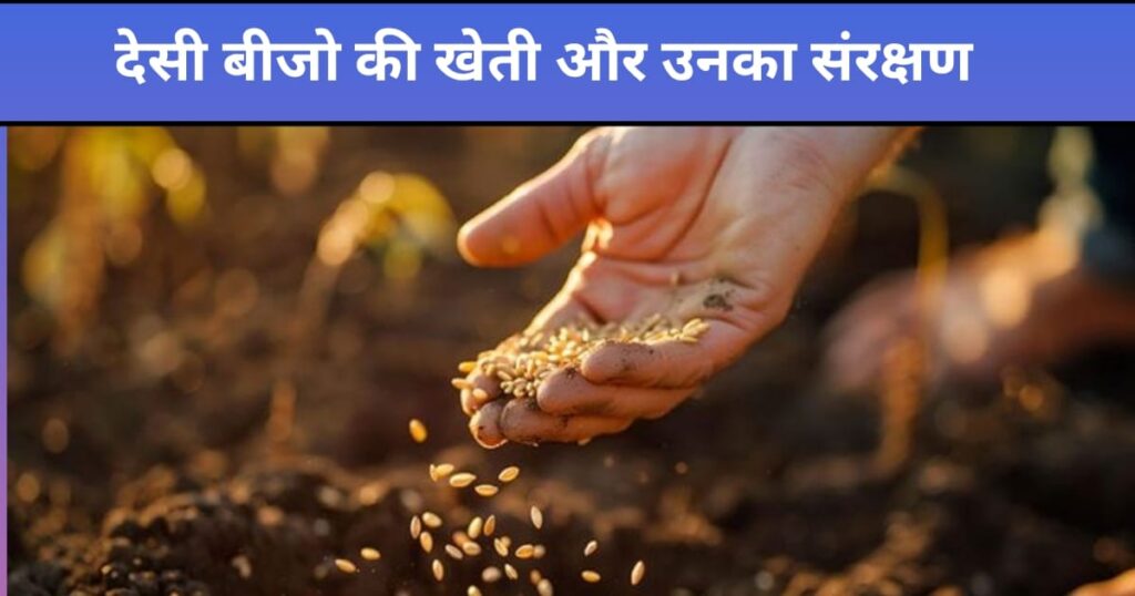 देसी बीजो की खेती